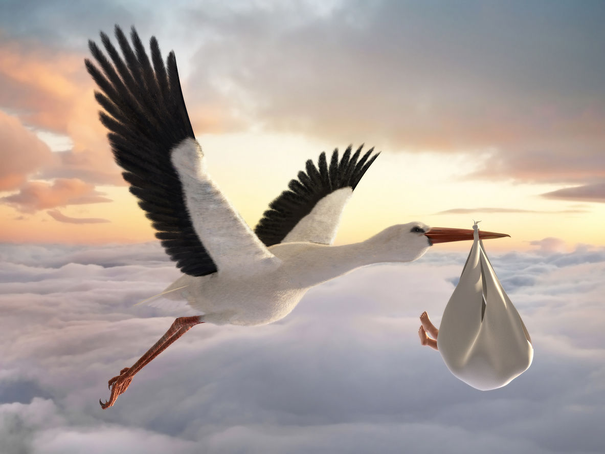 Stork & Baby